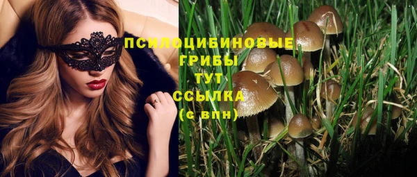 не бодяженный Надым